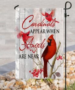 cardinals appear when angels are near flag 2667