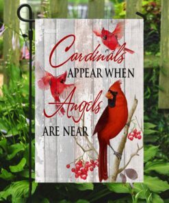 cardinals appear when angels are near flag 6980