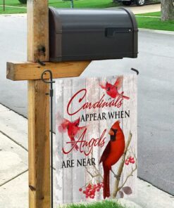 cardinals appear when angels are near flag 8009