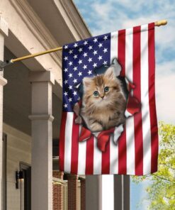 Cat American Flag
