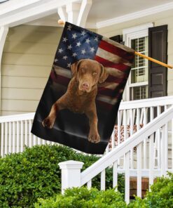 chesapeake bay retriever dog american flag 7634