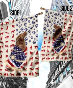 chesapeake bay retriever wrapped in american flag 1926