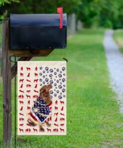 chesapeake bay retriever wrapped in american flag 2385