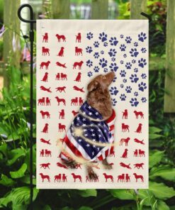 chesapeake bay retriever wrapped in american flag 3116