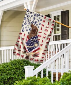 chesapeake bay retriever wrapped in american flag 3686