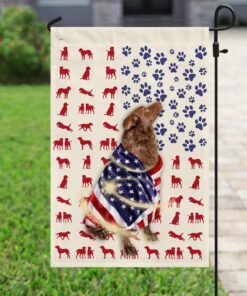 chesapeake bay retriever wrapped in american flag 3838