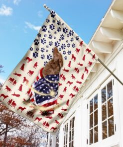 chesapeake bay retriever wrapped in american flag 6862
