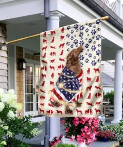 chesapeake bay retriever wrapped in american flag 8495