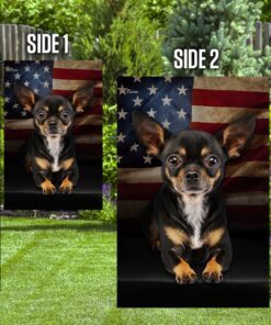 chihuahua american flag 1585