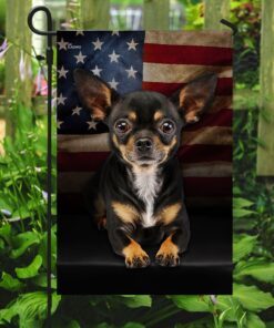 chihuahua american flag 3466