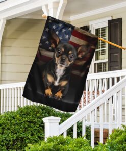 chihuahua american flag 4572