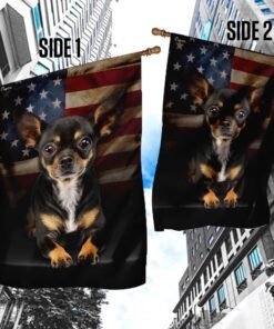 chihuahua american flag 5252
