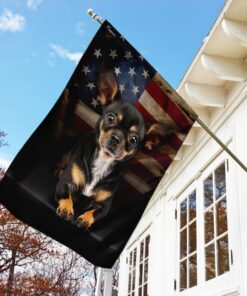 chihuahua american flag 6037