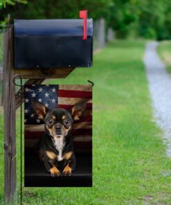 chihuahua american flag 8548