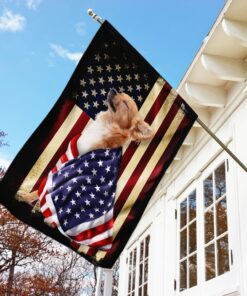 Chihuahua American Patriot Flag