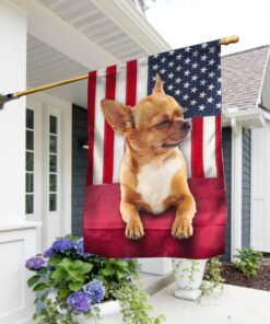 Chihuahua Dog Flag Cute Dog LNT48Fv1