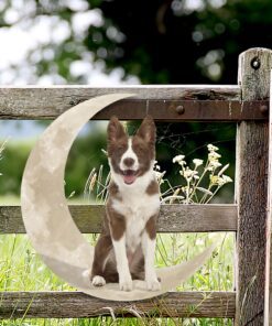 chocolate border collie dog and moon hanging metal sign qnk879msv11b 1376