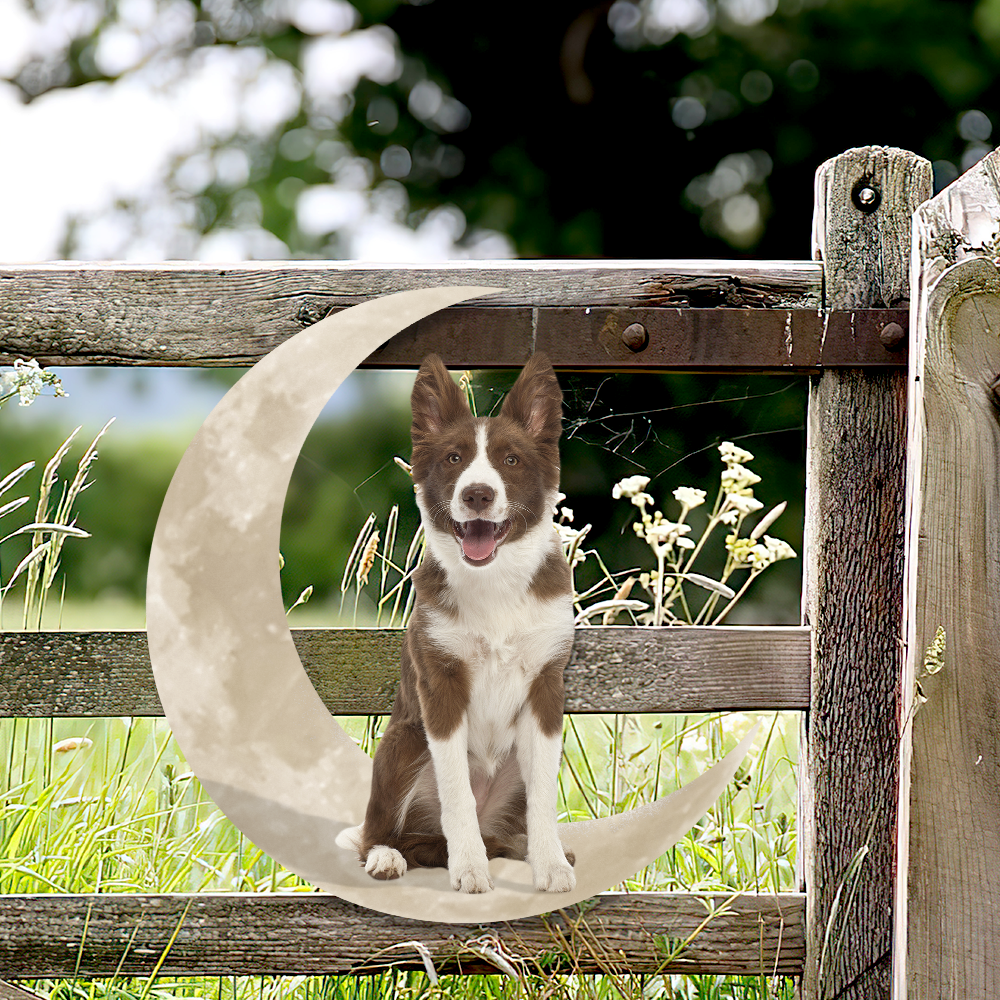 Chocolate Border Collie Dog And Moon Hanging Metal Sign QNK879MSv11b - Image 4