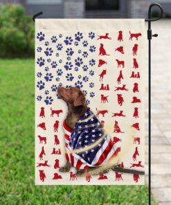 chocolate labrador dog american flag 4985