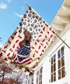chocolate labrador dog american flag 6249