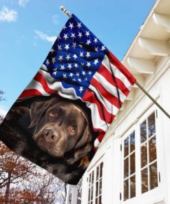 chocolate labrador retriever. american patriot flag 2178