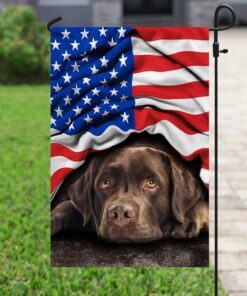 chocolate labrador retriever. american patriot flag 2359