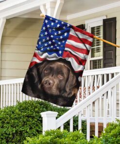 chocolate labrador retriever. american patriot flag 5969