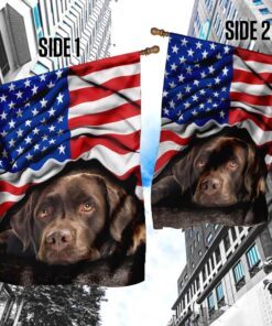 chocolate labrador retriever. american patriot flag 6963