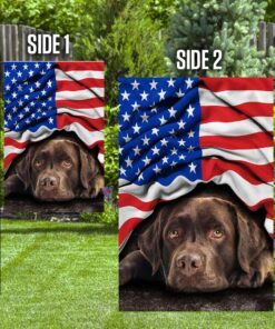 chocolate labrador retriever. american patriot flag 7259