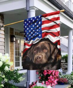 chocolate labrador retriever. american patriot flag 8002