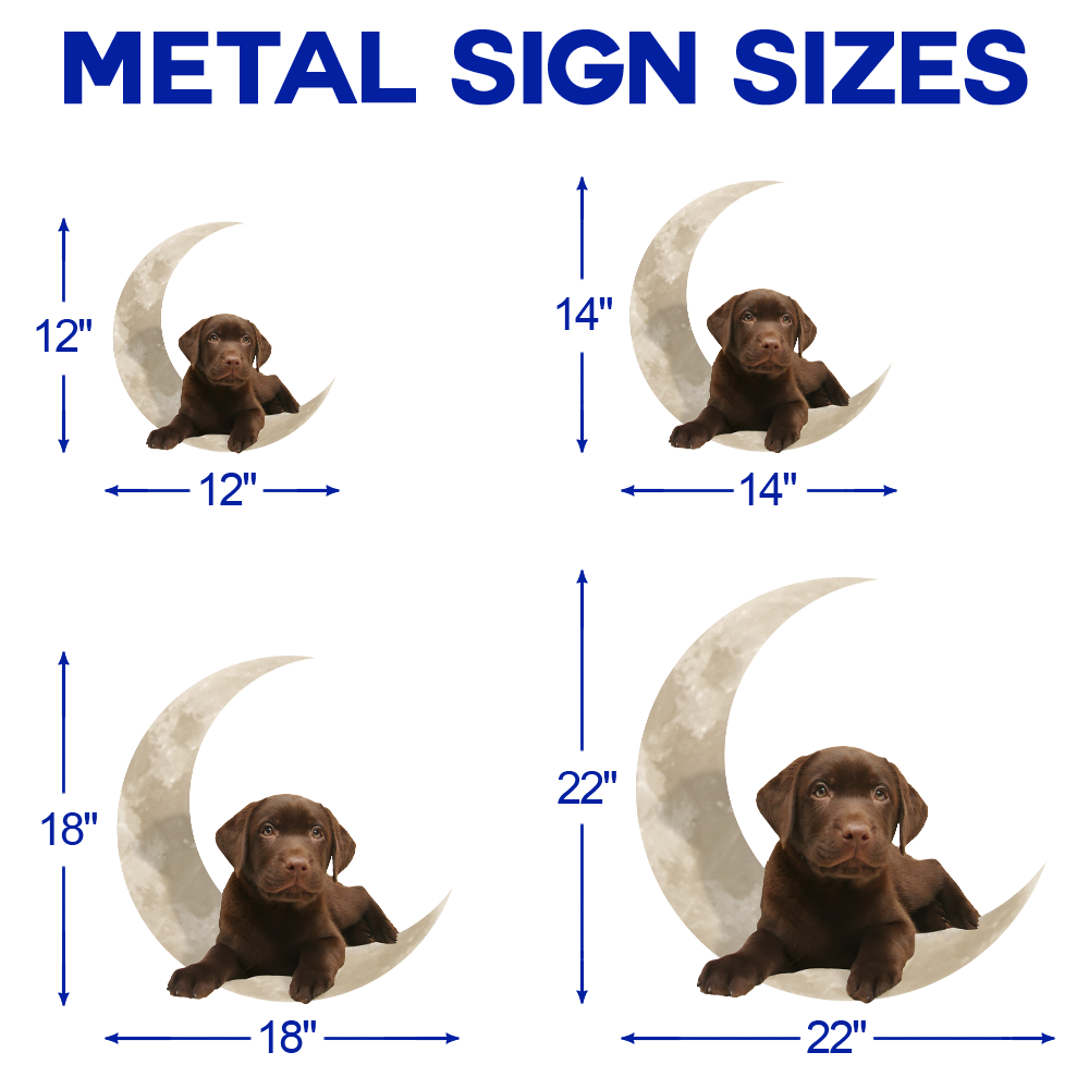 Chocolate Labrador Retriever On The Moon Hanging Metal sign QNK1012MSv1b - Image 5