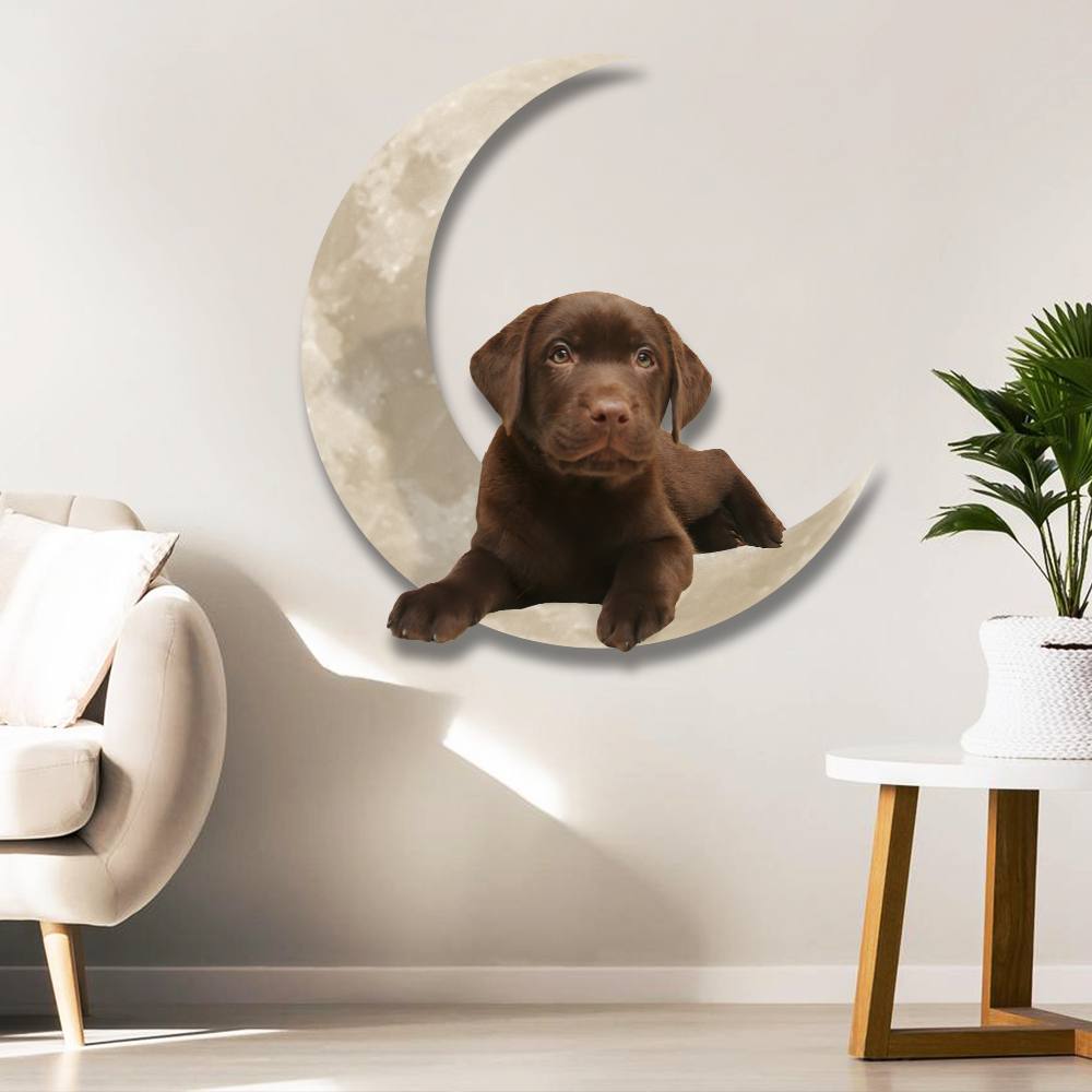 Chocolate Labrador Retriever On The Moon Hanging Metal sign QNK1012MSv1b - Image 3