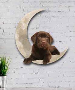 chocolate labrador retriever on the moon hanging metal sign qnk1012msv1b 8221