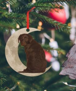 chocolate labrador retriever ornament, lab on the moon christmas ornament qnk879ov1b 1087