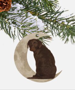 Chocolate Labrador Retriever Ornament, Lab On The Moon Christmas Ornament QNK879Ov1b