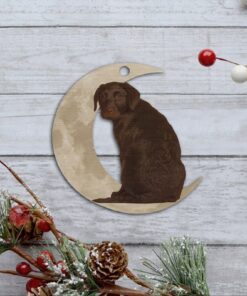 chocolate labrador retriever ornament, lab on the moon christmas ornament qnk879ov1b 3541
