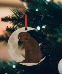 chocolate labrador retriever ornament, lab on the moon christmas ornament qnk879ov1b 4054