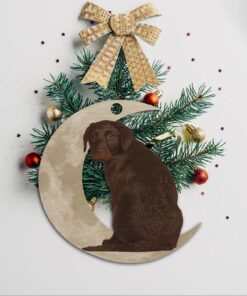chocolate labrador retriever ornament, lab on the moon christmas ornament qnk879ov1b 7713
