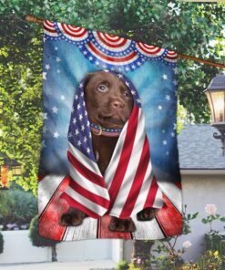 chocolate labrador wrap in glory american flag thb3483f 2048