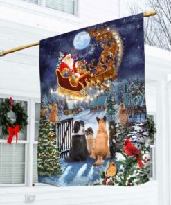 Christmas Flag, Dogs And Cats Watching Santa Claus QNN657F
