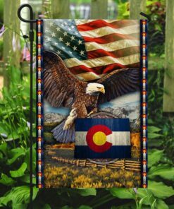 colorado state eagle american flag 4915