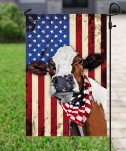 cow cattle happy 4th of july. american us flag 1970