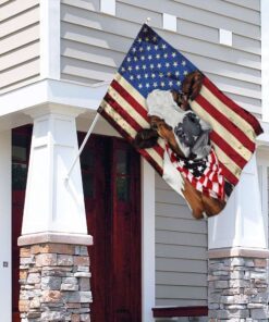 cow cattle happy 4th of july. american us flag 2636