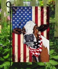 cow cattle happy 4th of july. american us flag 4756
