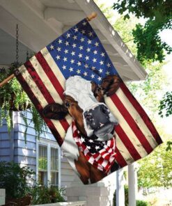 cow cattle happy 4th of july. american us flag 7332