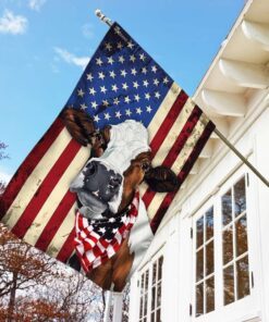 cow cattle happy 4th of july. american us flag 8910