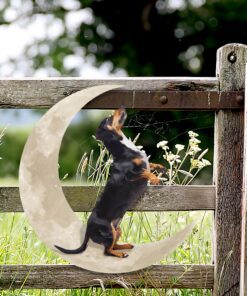 dachshund dog and moon hanging metal sign qnk879msv3 1968