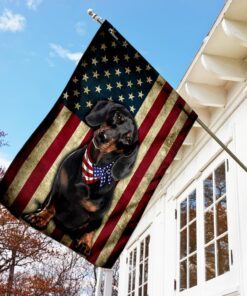 dachshund flag 3794