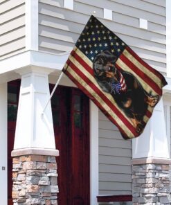 dachshund flag 5463