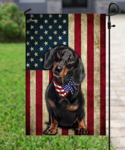 dachshund flag 5951